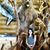 Tania Isabel Gonzalez's profile image