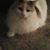 Cindy Reynolds Scully's profile image
