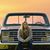Kaelynn Marie Abbott's profile image