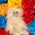 Loretta Obuchowski's profile image