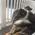 Keely Noyes's profile image