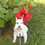 Melissa Boswell Blakeslee's profile image