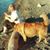 Sally Lee Anderson's profile image