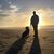 Paul Bustrin's profile image
