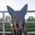 Jonna Asher's profile image