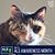 Cindy Klassen Liles's profile image
