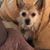 Mary Fowler Ruegge's profile image