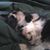 Jean Gladstone's profile image