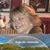 Barbara Sewell Spitzer's profile image