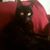 Louise Marrin's profile image