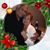 Carolyn McCaskill Finelli Pierce's profile image