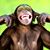 Daron Scholet's profile image