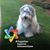 Valerie Canter's profile image