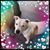 Tammy Roberts's profile image