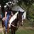 Nancy Clark Barkley's profile image