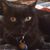 Gail Moore's profile image