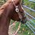 Roxanne Zook's profile image