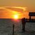 Kim Beitel Hunsicker's profile image