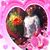 Rosa Elvira's profile image