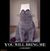 Ben Allen's profile image
