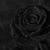 Elena Jordan's profile image