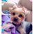 Stacey Lynn's profile image