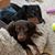 Cindy Soper Catalano's profile image
