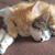 Laura Roberts's profile image