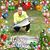 Cuong Duong's profile image