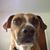 Brian John Obuchowski's profile image