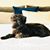 Shelly Ethell Giacopuzzi's profile image