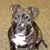 Nancy C Johnson's profile image