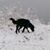 Kathy Schwartz's profile image