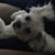 Debbie Silva- LaRont's profile image