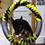 Tom Marsteller's profile image
