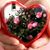 Belle Arroyo's profile image