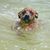 Aaron J. Steinberg's profile image