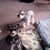 Maggie Brotherton's profile image
