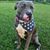 Jen Snyder's profile image