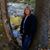Beckie Redick's profile image