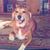 Susan Johnson's profile image