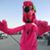 Robby Robbins's profile image