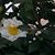 Deborah Lynn Coley's profile image