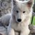 Dianne Lynn's profile image