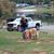 Diane Martin Fleming's profile image