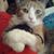 Paulene Hendrickson's profile image