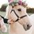 Eva Faza's profile image