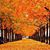 MarkandMelinda McNutt's profile image