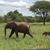 Susan R. McQuaid's profile image