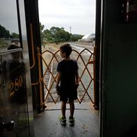 Daniela PAz's profile image